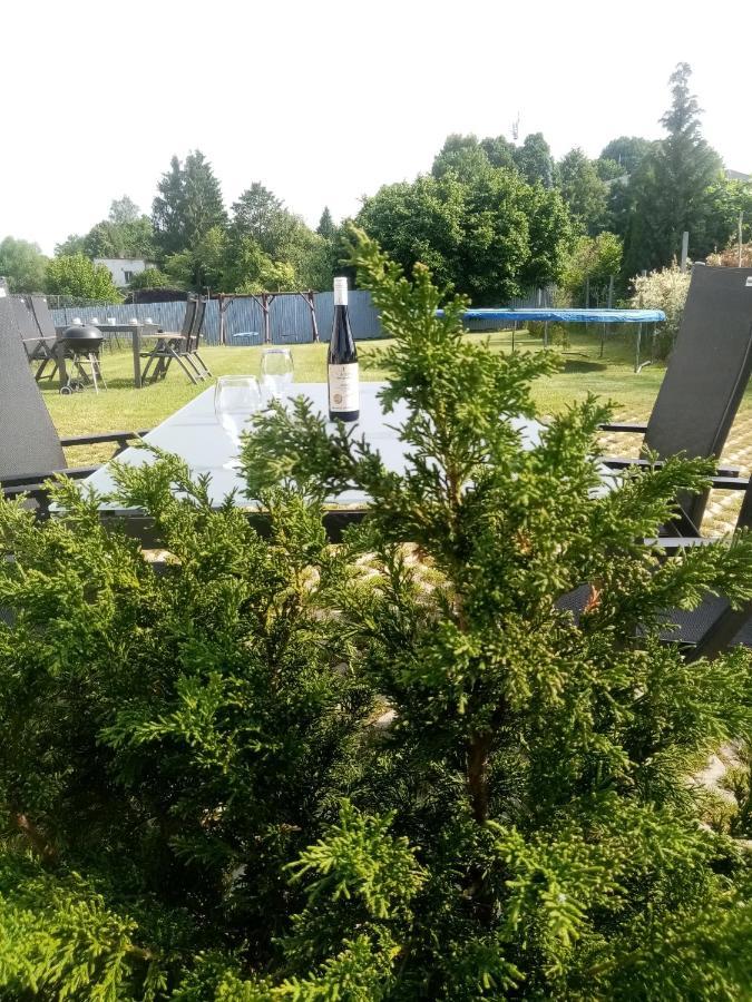 Apartmany Kohoutek A Slepicka V Novohradskych Horach Nové Hrady Buitenkant foto